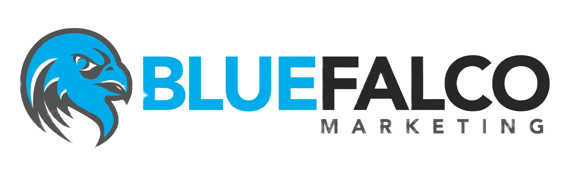 Blue Falco Marketing logo